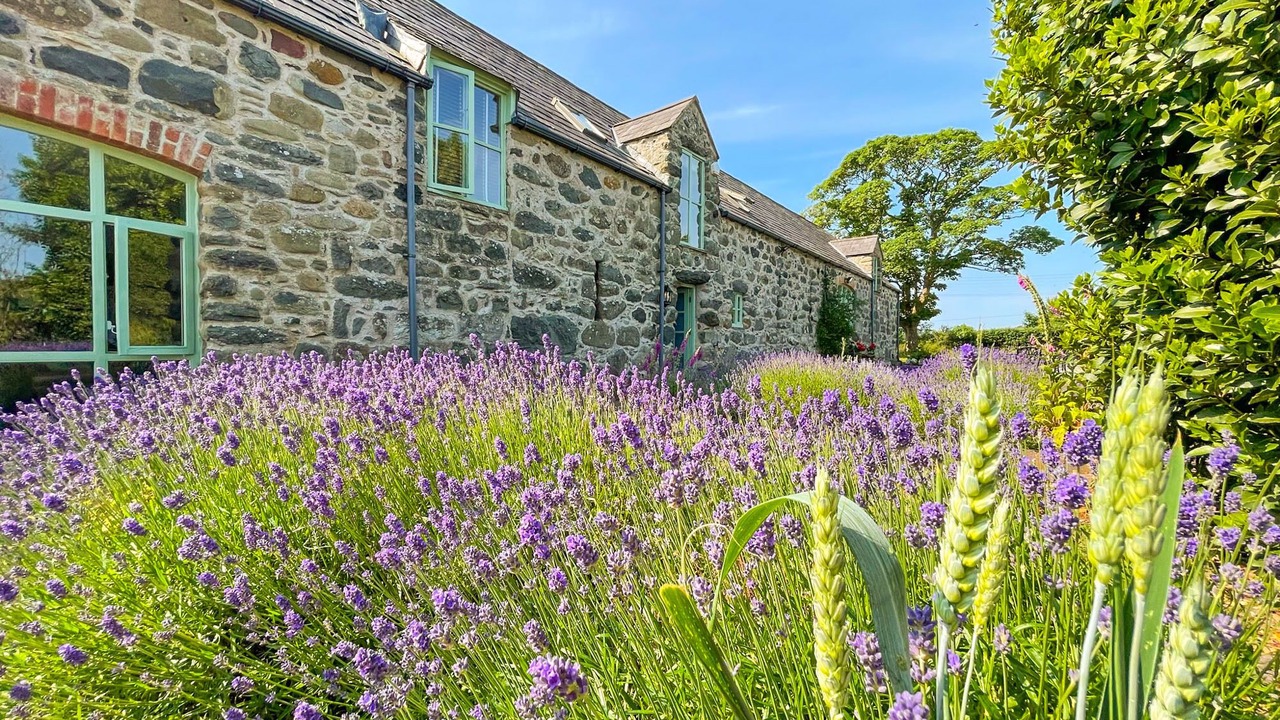 Photo of Outdoor in Chwilog