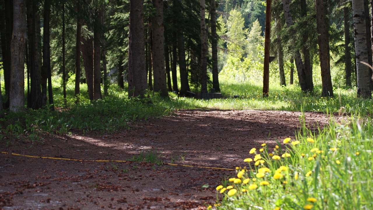 Photo of Outdoor in Sundre
