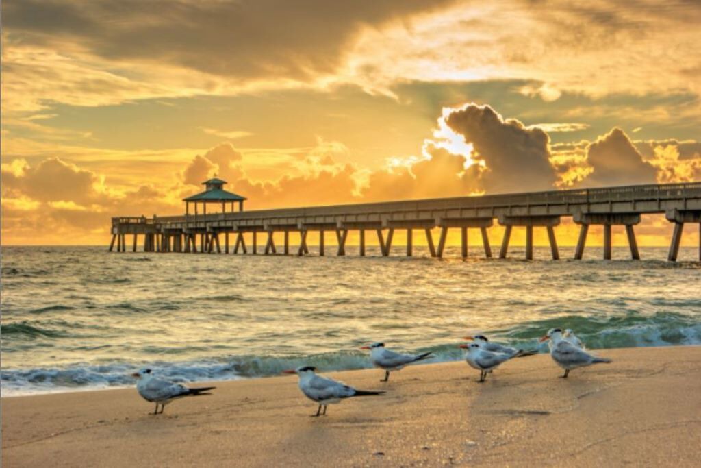 Photo of Others in Deerfield Beach