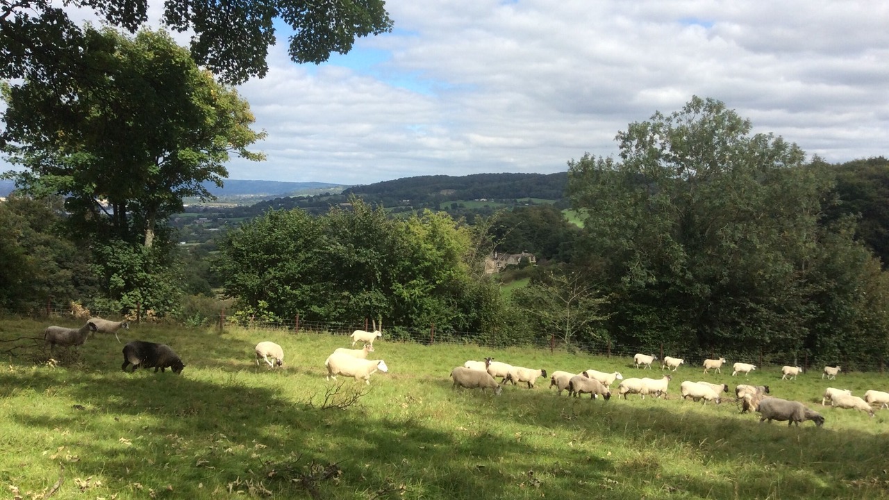 Photo of Outdoor in Stroud