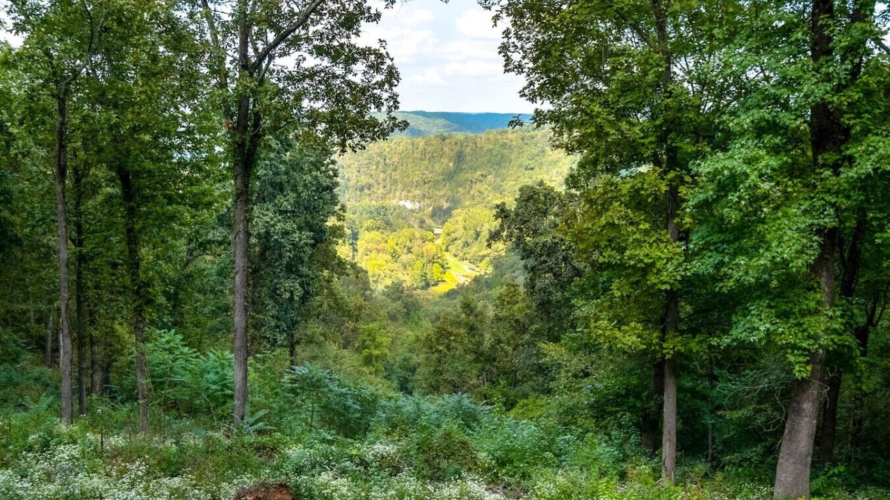 Photo of Others in Newnata