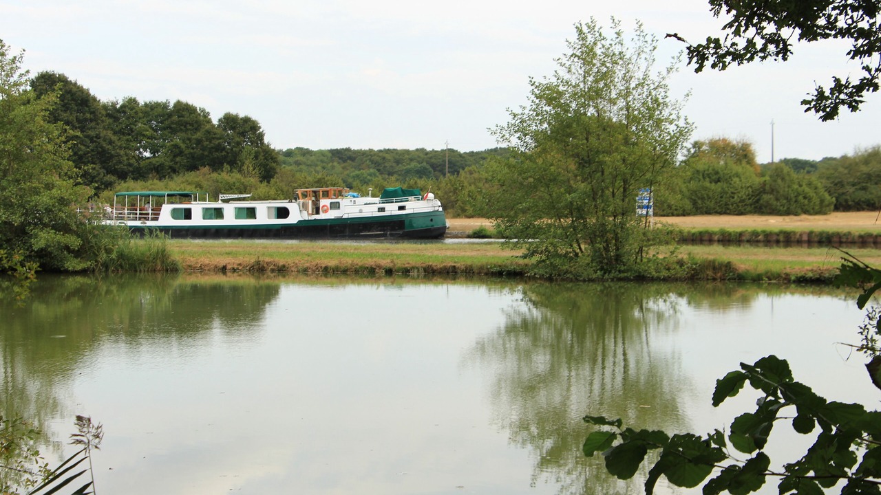 Photo of Others in Ouzouer-sur-Trezee