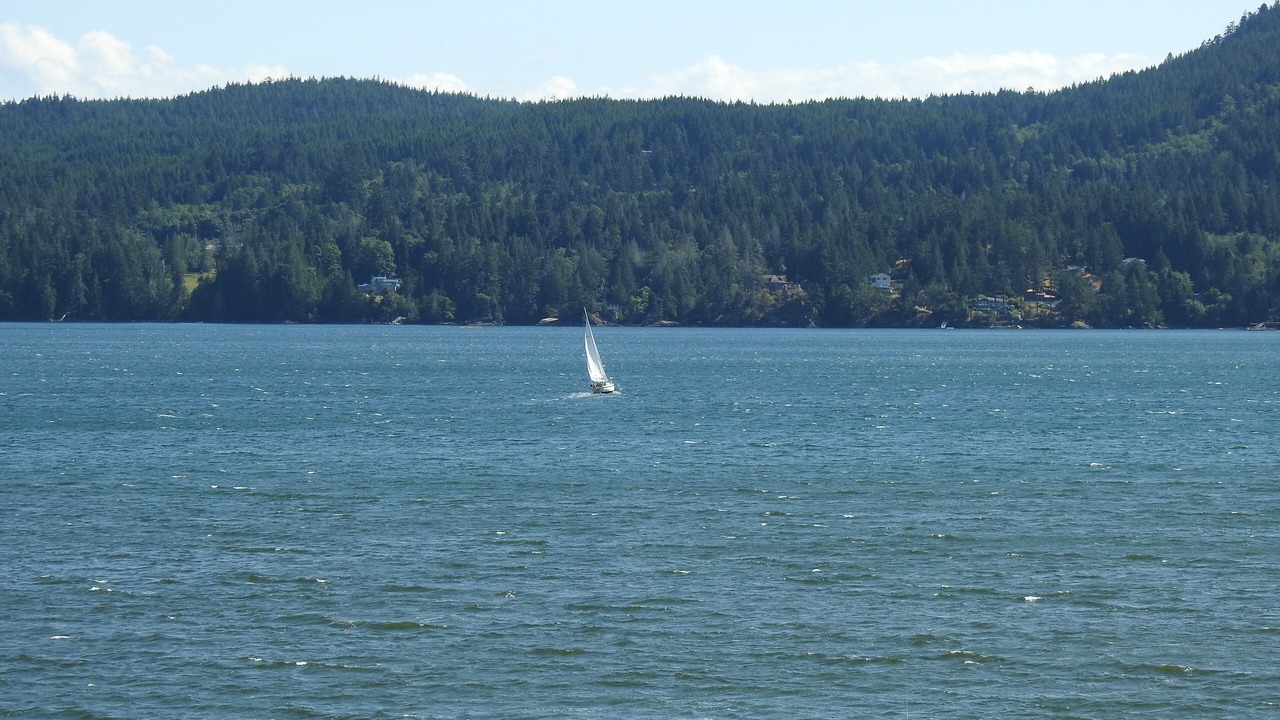 Photo of Others in Sooke