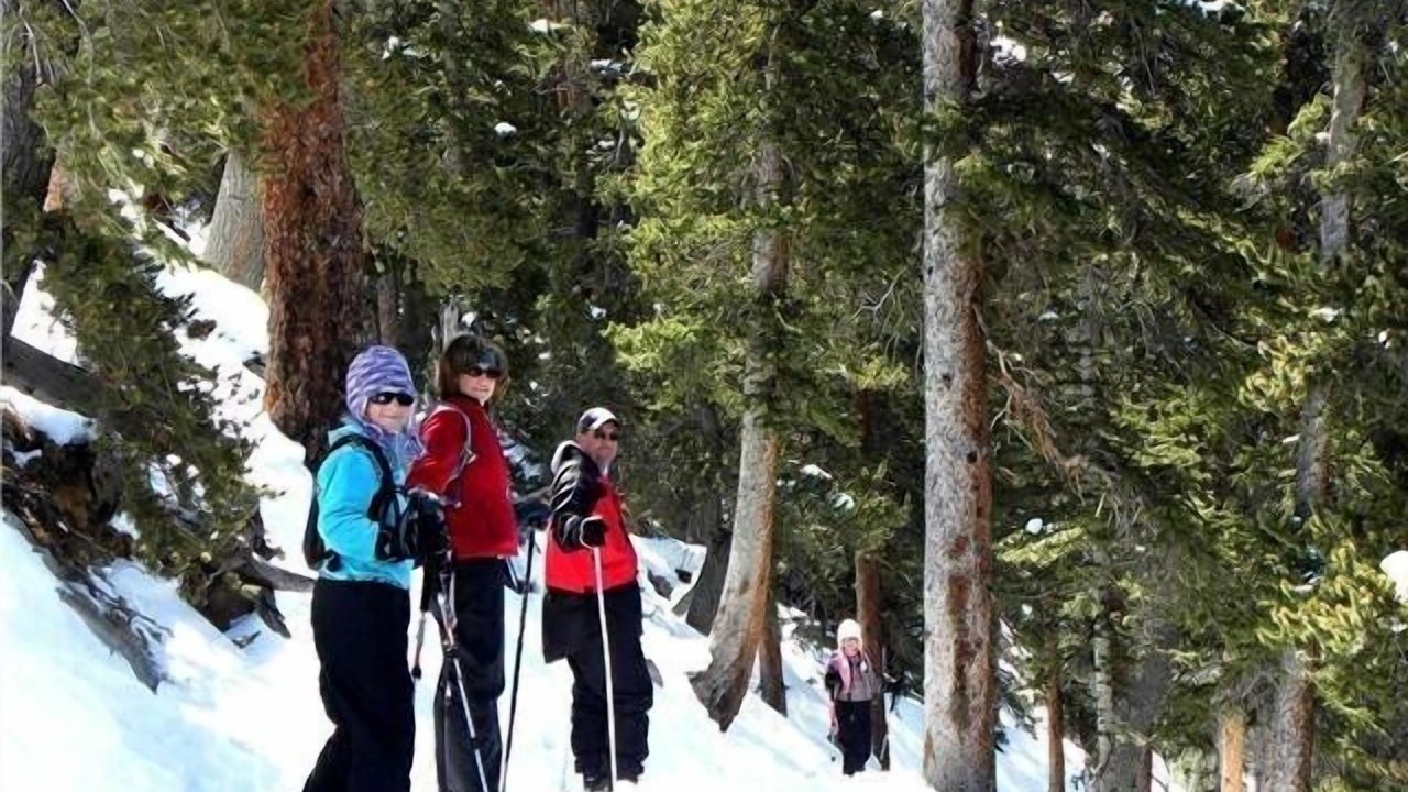 Photo of Others in Evergreen