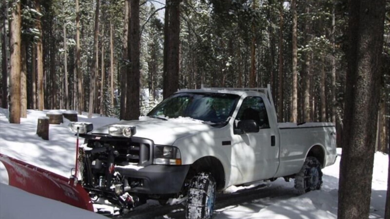 Photo of Others in Evergreen
