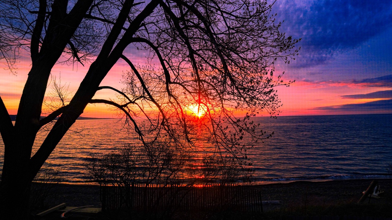 Photo of Outdoor in Park Point
