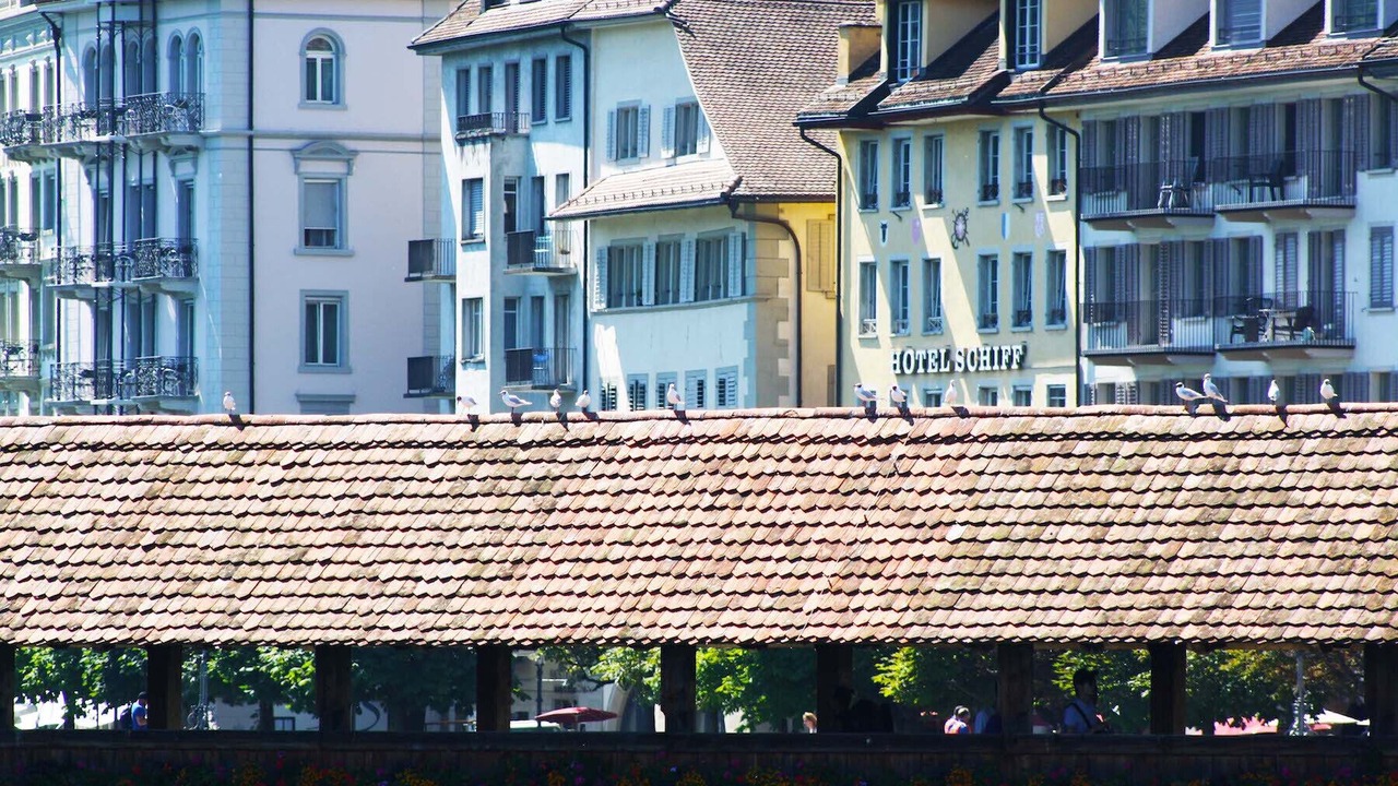 Photo of Outdoor in Lucerne