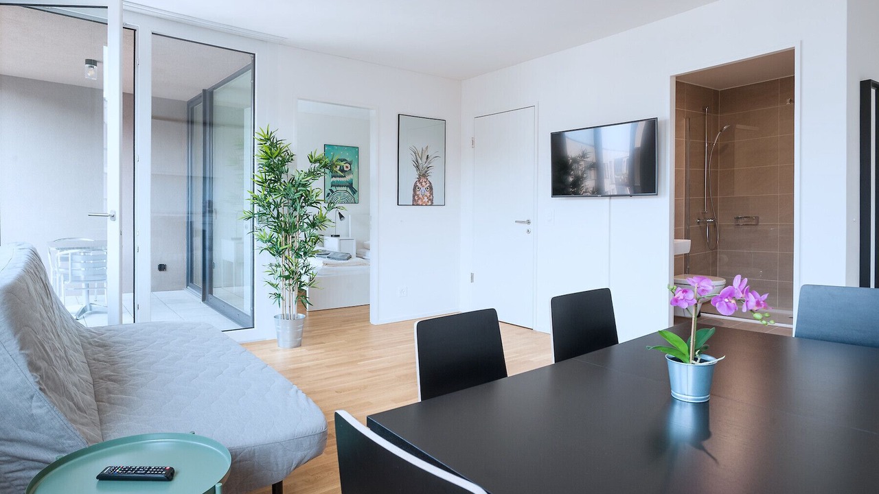 Photo of Livingroom in Basel City Centre