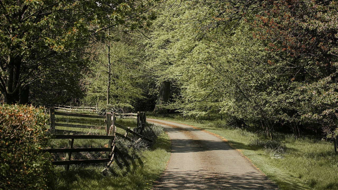 Photo of Outdoor in Hallington
