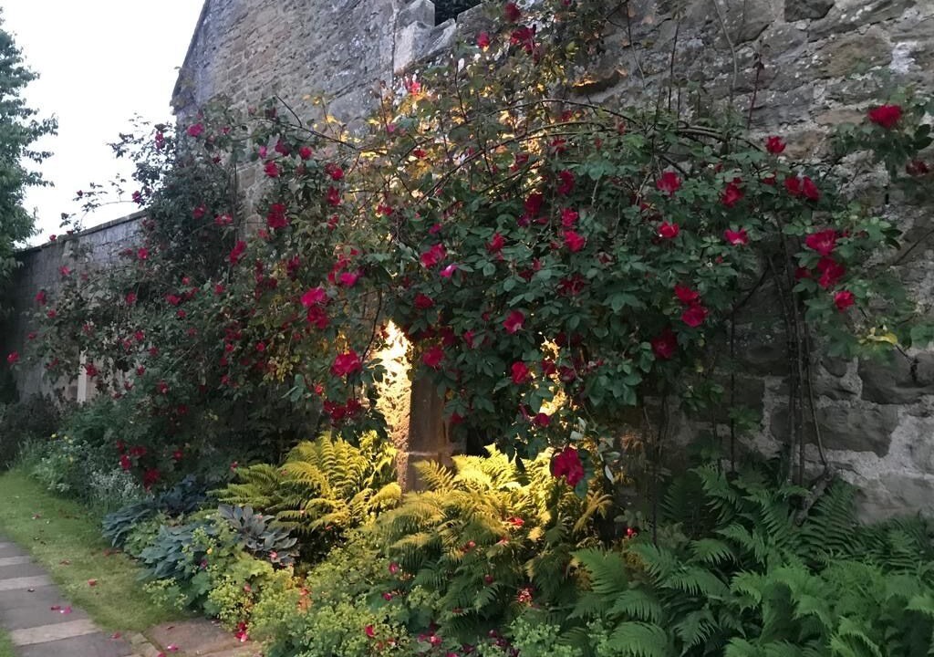 Photo of Outdoor in Hallington
