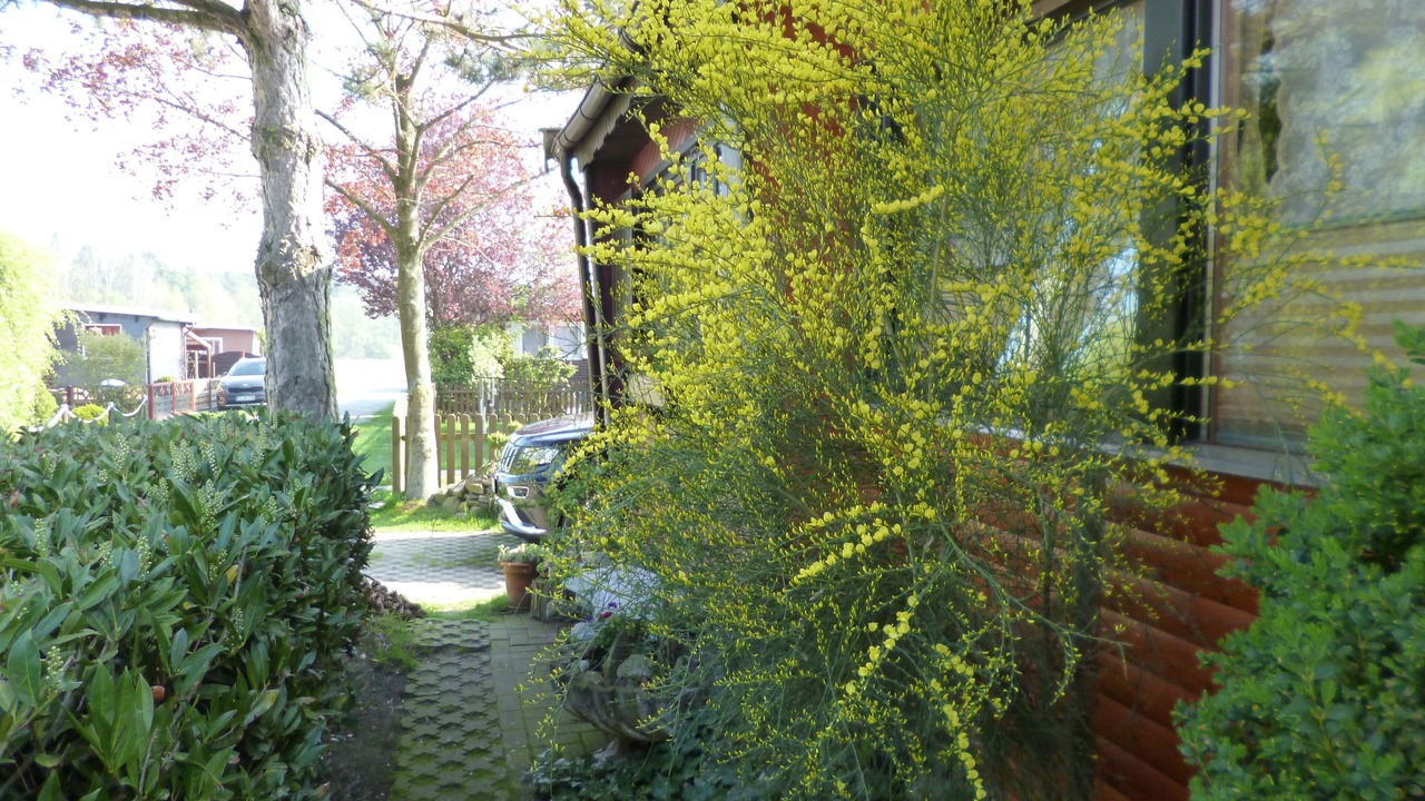 Photo of Outdoor in Ostercappeln