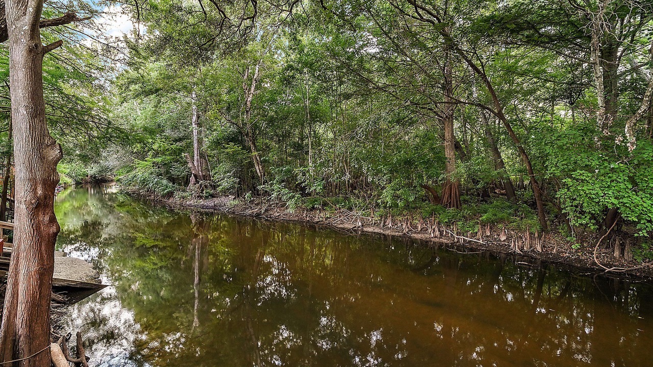 Photo of Others in Dunnellon