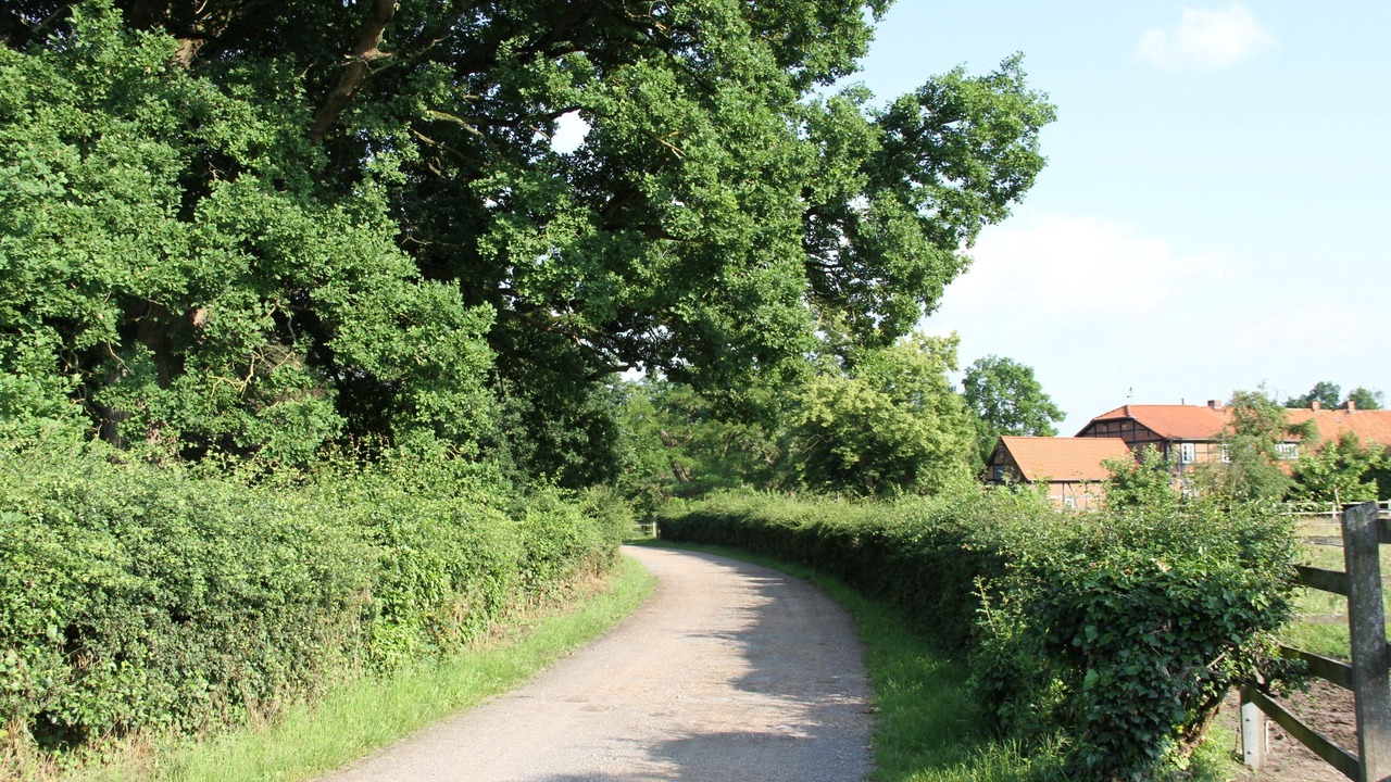 Photo of Outdoor in Luechow