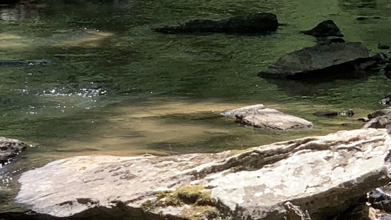 Photo of Others in Northfork