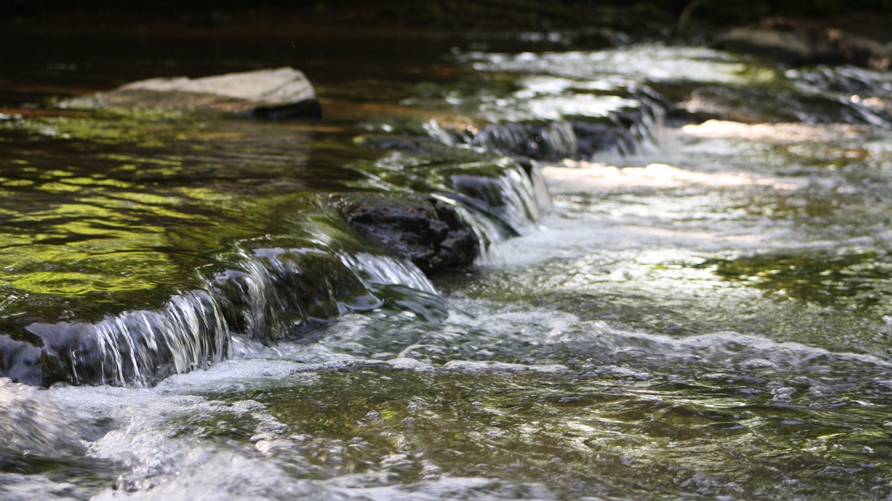 Photo of Outdoor in Dickson