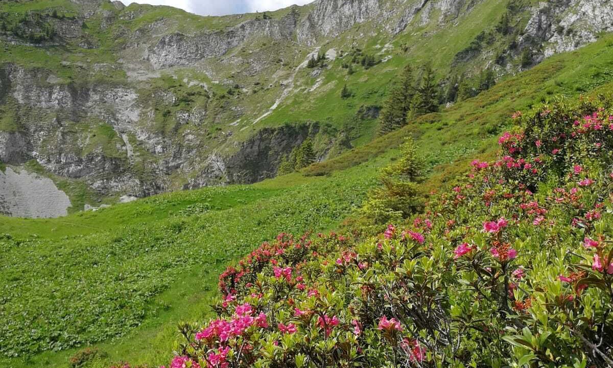 Photo of Outdoor in Buching
