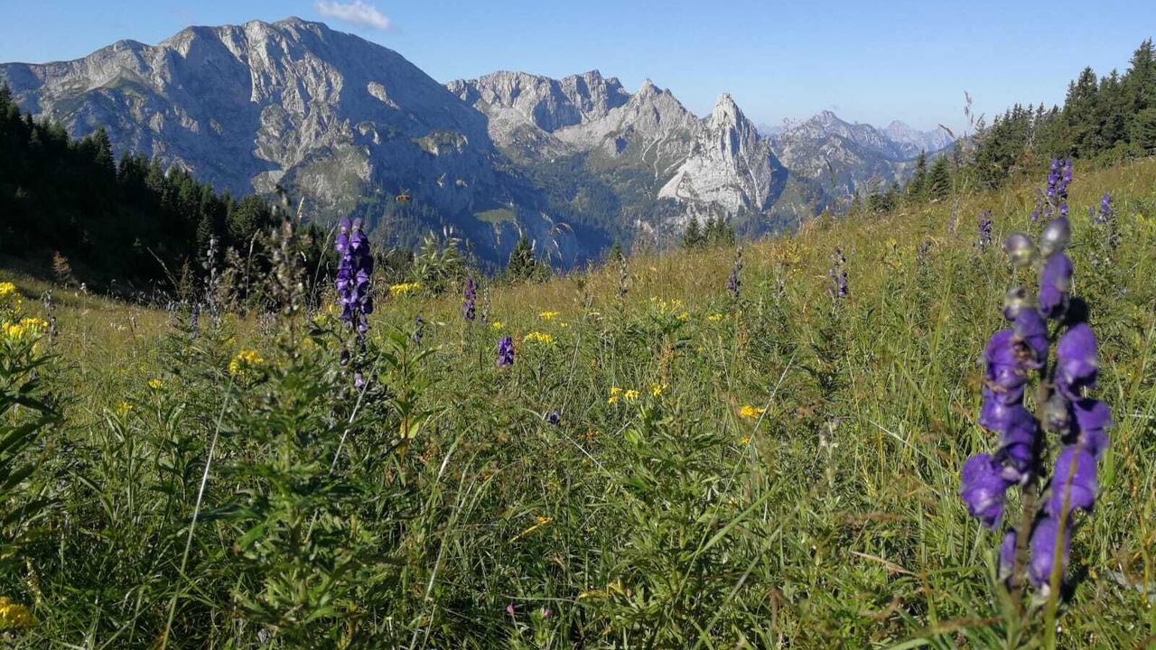 Photo of Outdoor in Buching