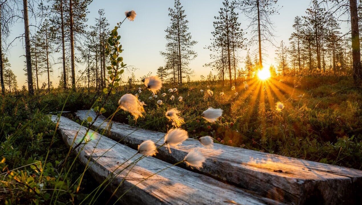 Photo of Outdoor in Ranua