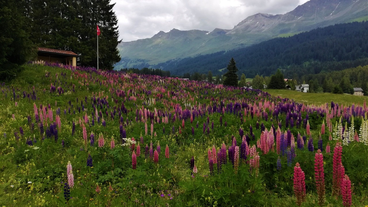 Photo of Outdoor in Lenzerheide
