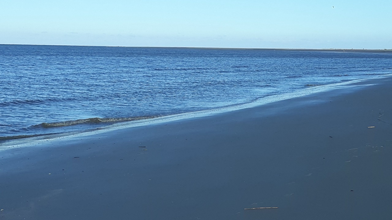 Photo of Others in Beachwalk