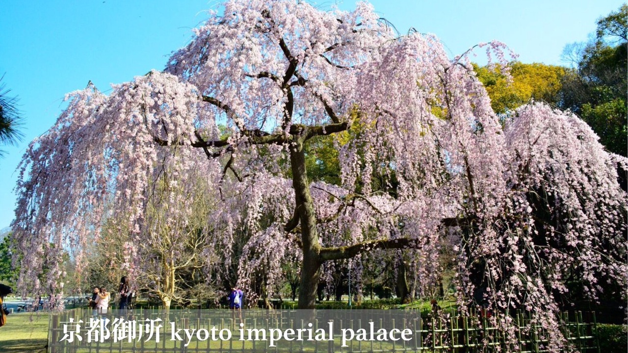 Photo of Outdoor in Kamigyo