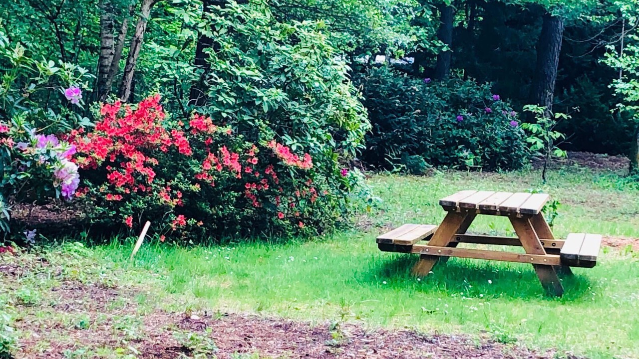 Photo of Outdoor in Noisy-sur-Ecole