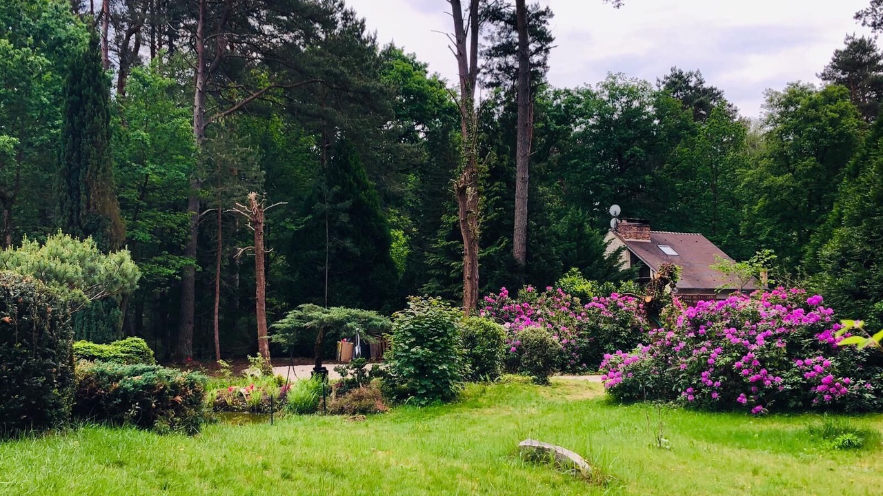 Photo of Outdoor in Noisy-sur-Ecole