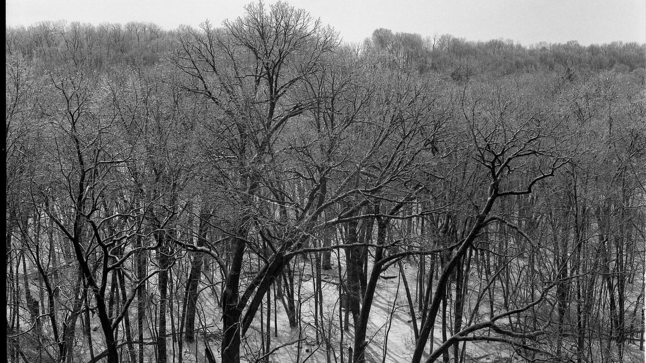 Photo of Others in Princeton
