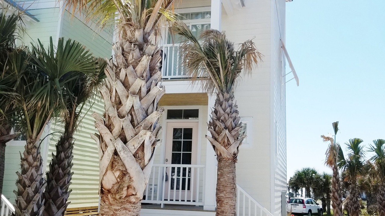 Photo of Outdoor in Atlantic Beach