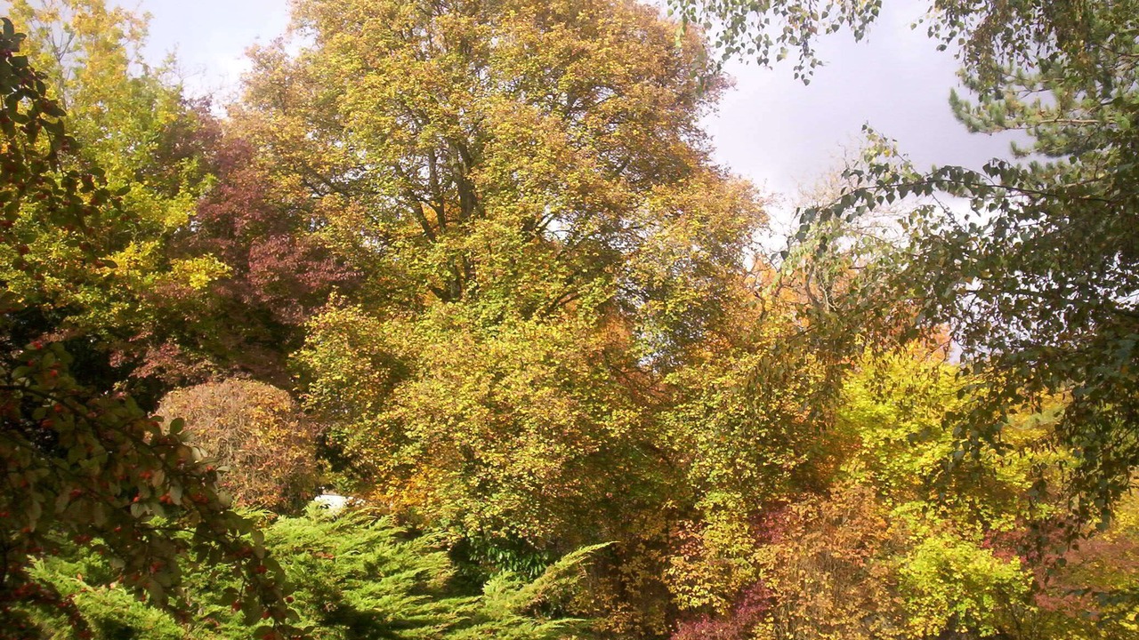 Photo of Outdoor in Recloses