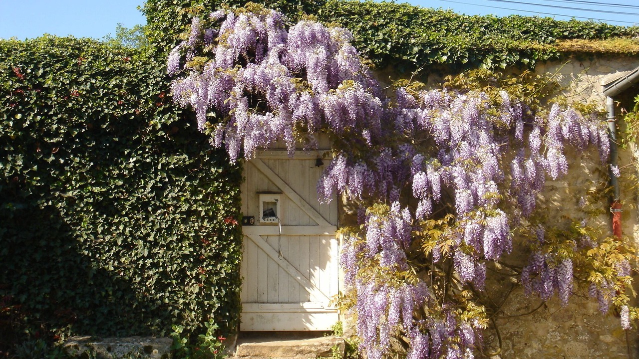Photo of Outdoor in Recloses