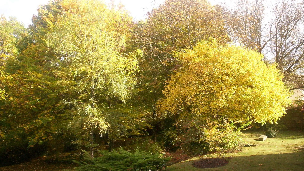 Photo of Outdoor in Recloses