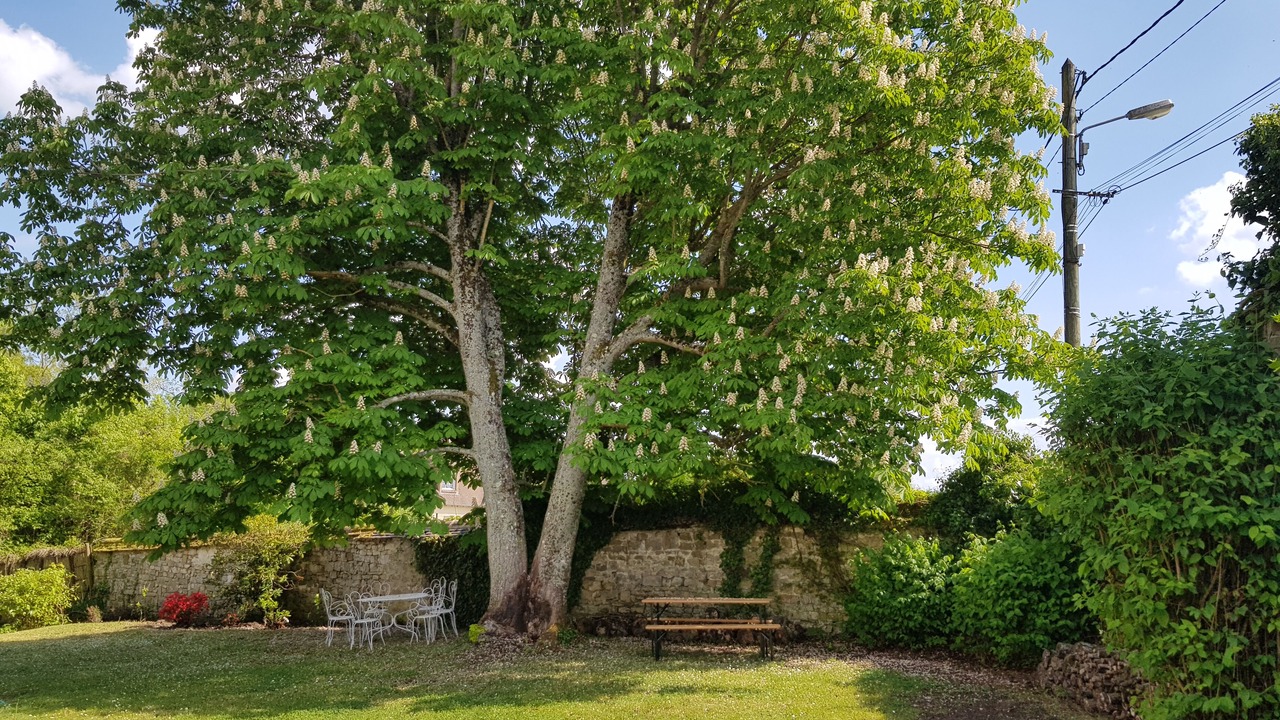 Photo of Outdoor in Recloses
