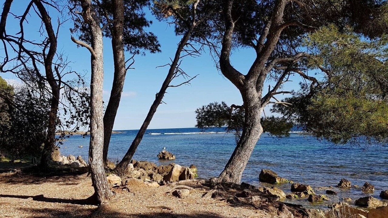 Photo of Others in Cap-d'Antibes
