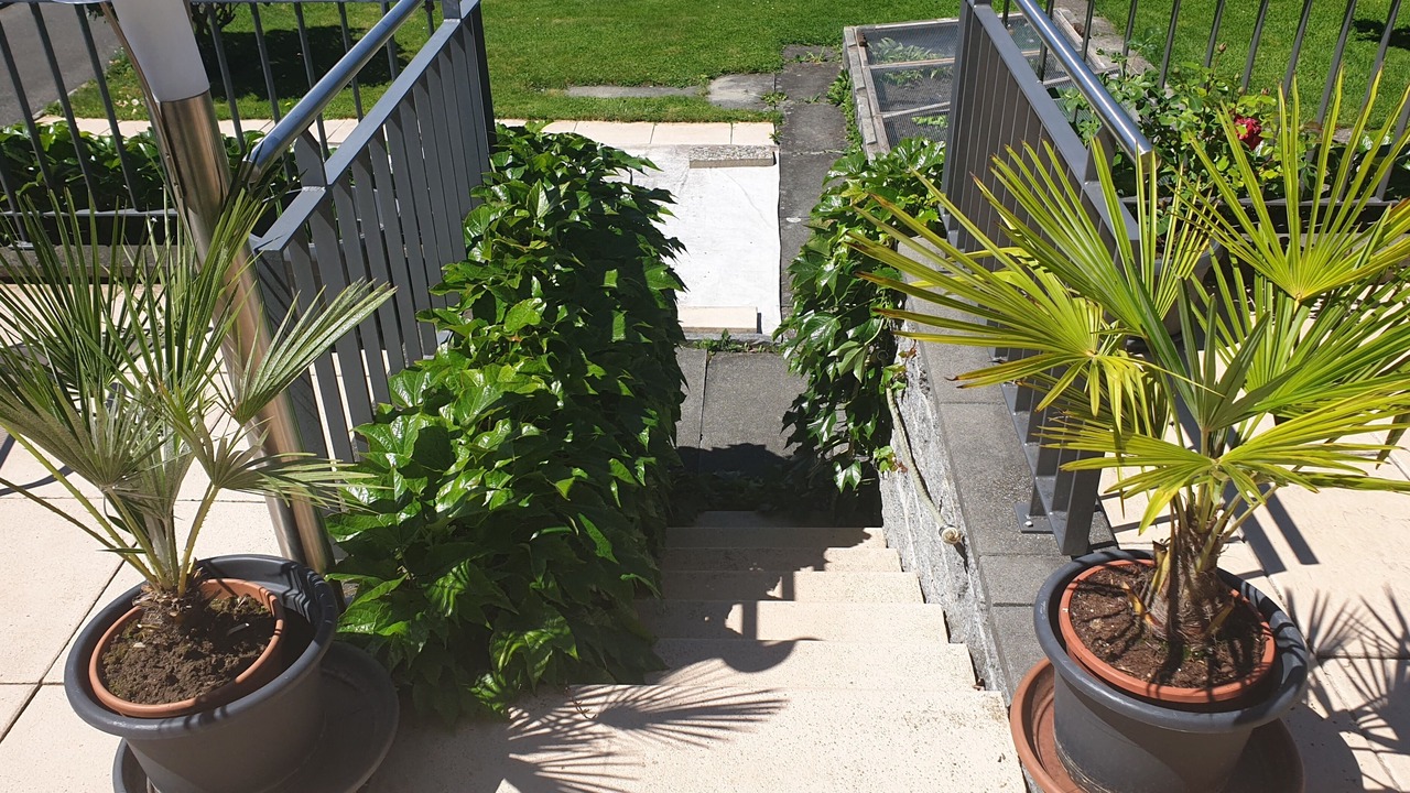 Photo of Outdoor in Unterseen