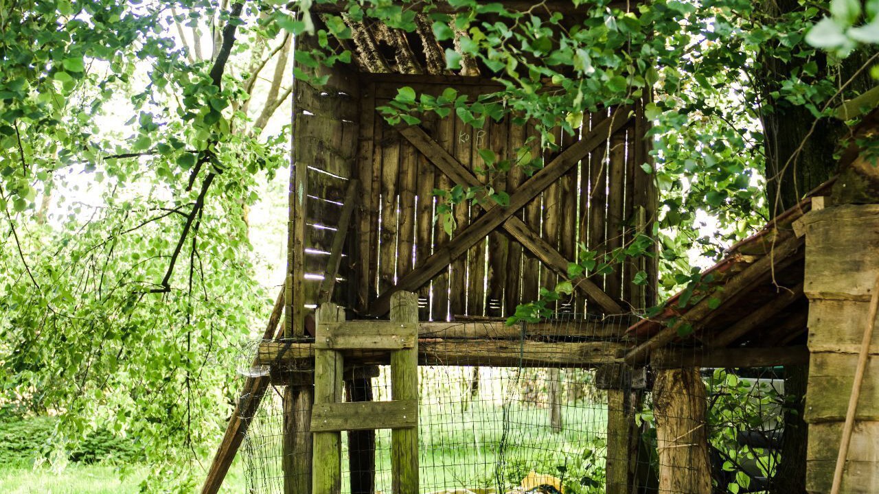 Photo of Outdoor in Wijchmaal