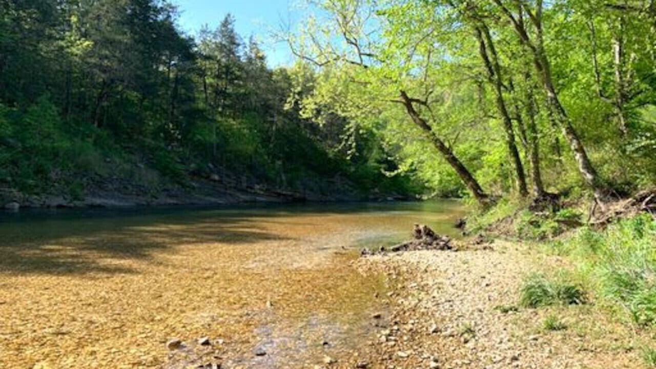 Photo of Others in Newnata