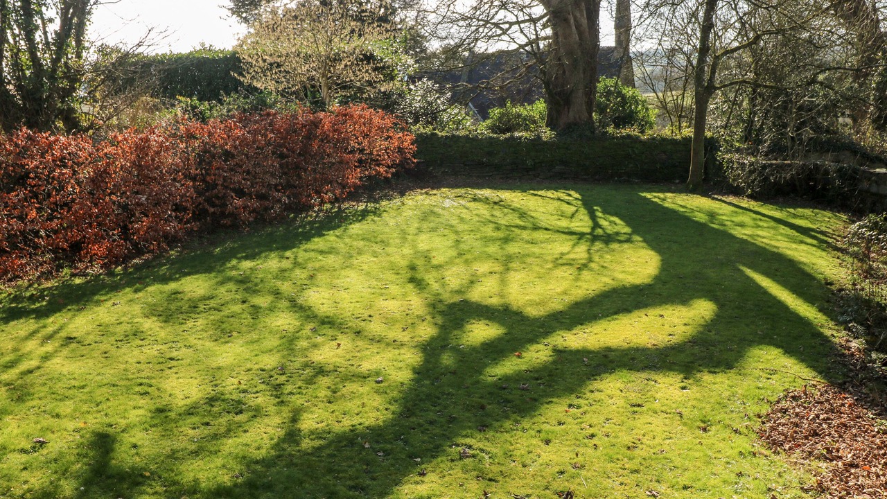 Photo of Outdoor in Llanfallteg