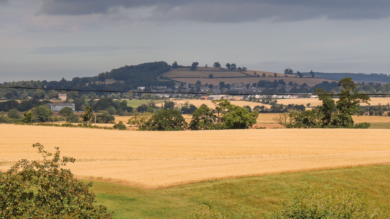 Photo of Others in Duns