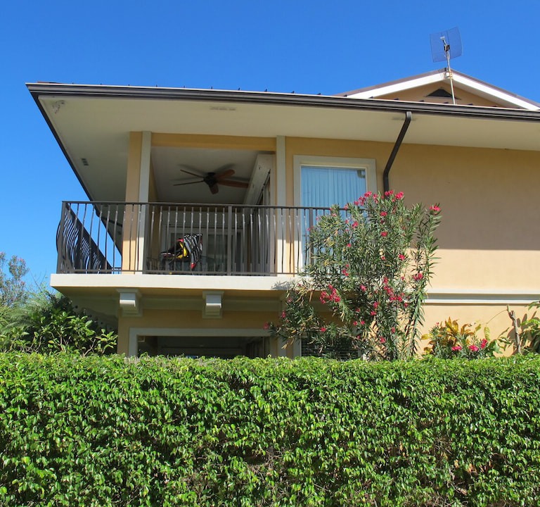 Photo of Buildings in West Bay