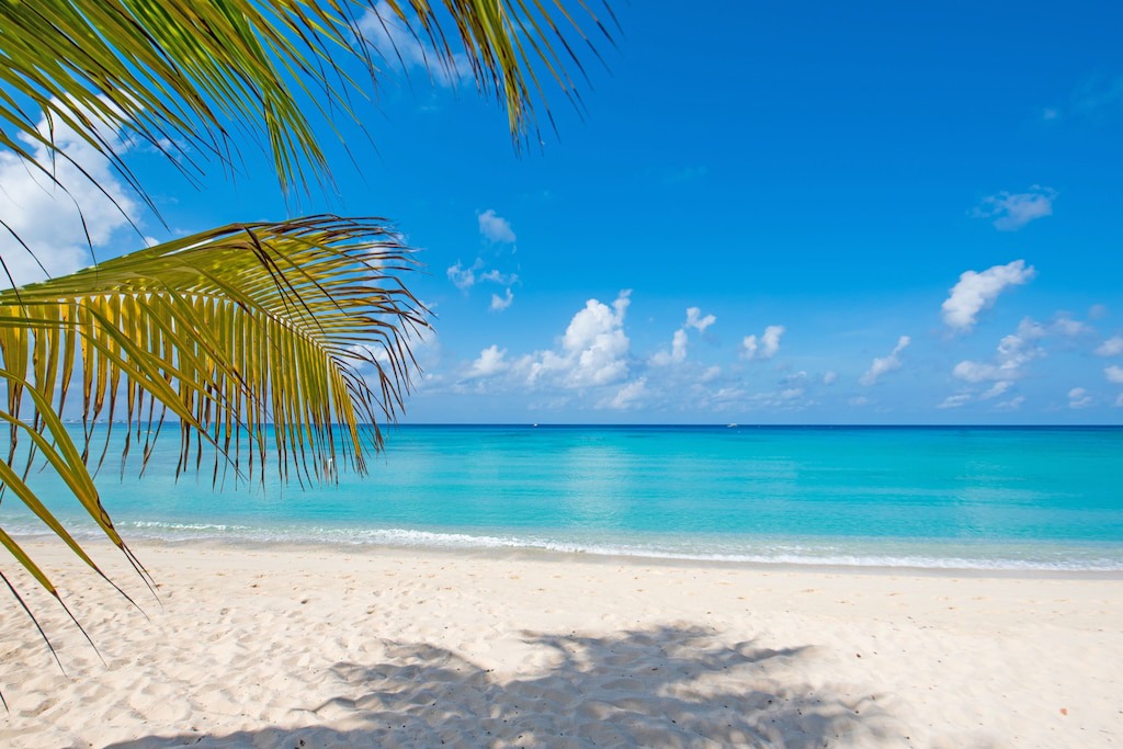 Photo of Outdoor in West Bay