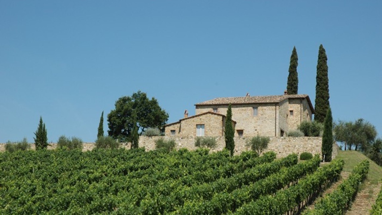 Photo of Others in Montalcino