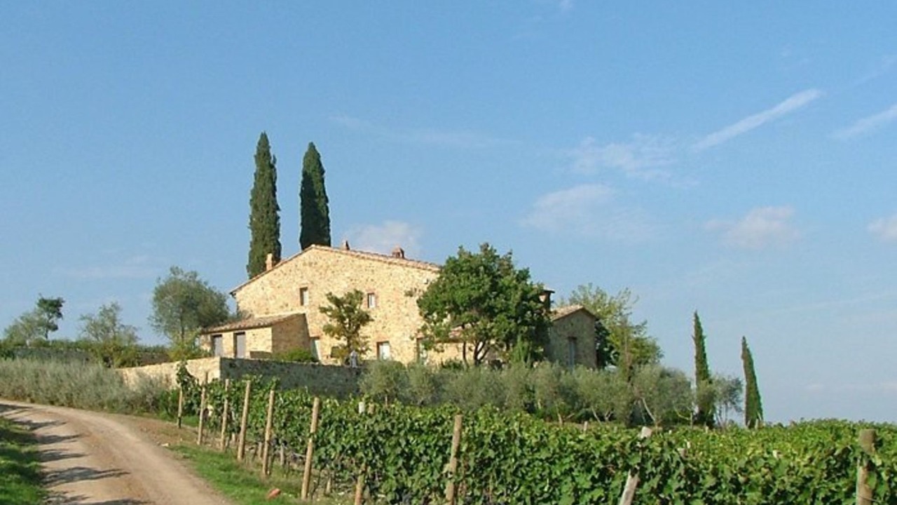 Photo of Others in Montalcino