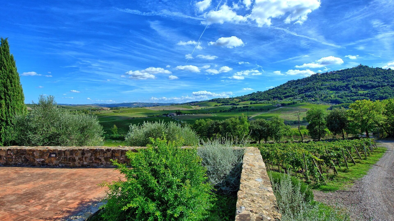 Photo of Outdoor in Montalcino