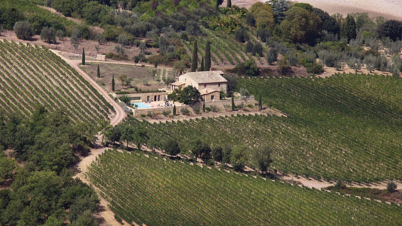 Photo of Others in Montalcino
