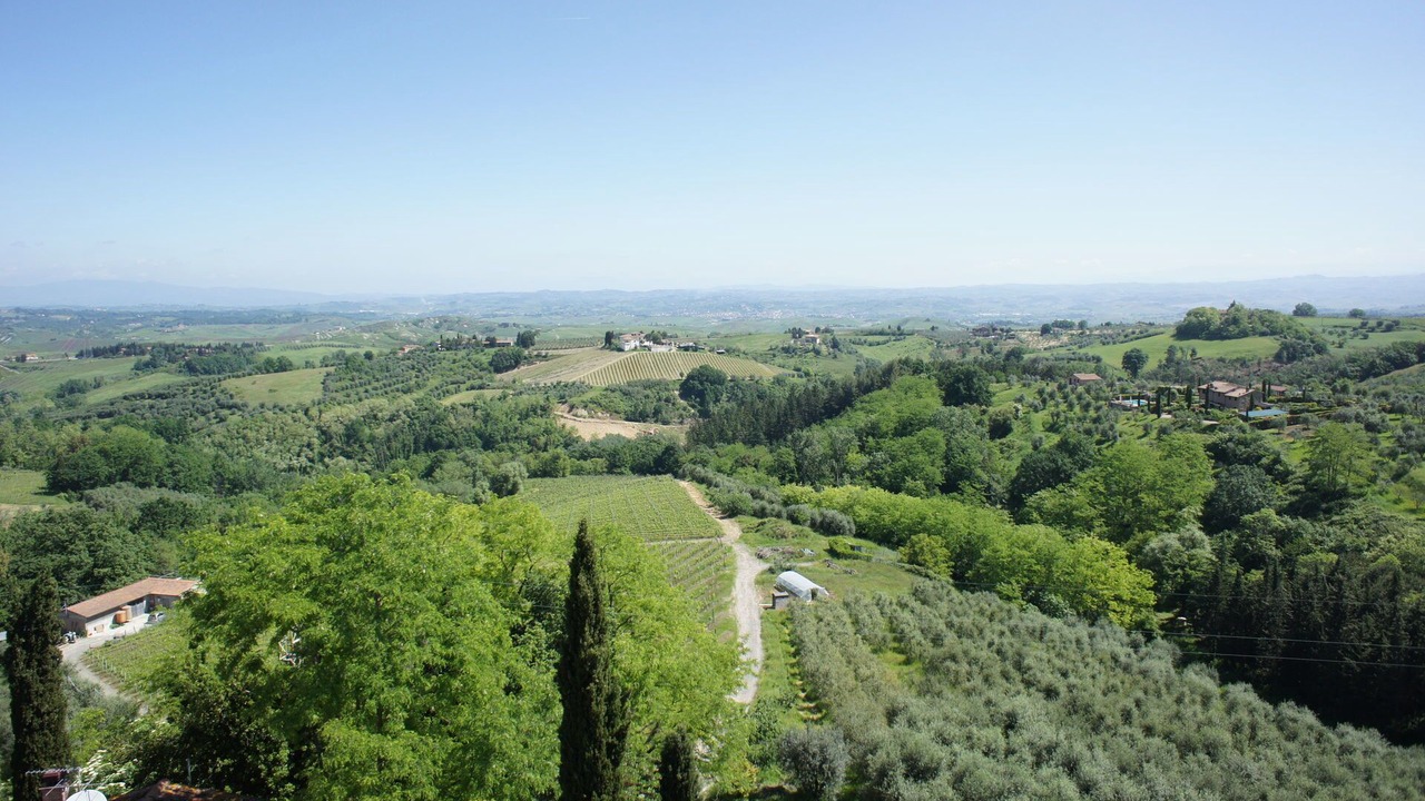 Photo of Others in Montaione