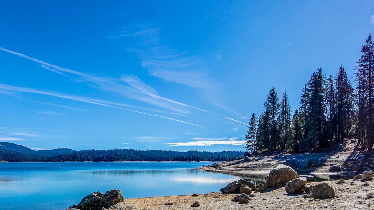 Photo of Others in Shaver Lake