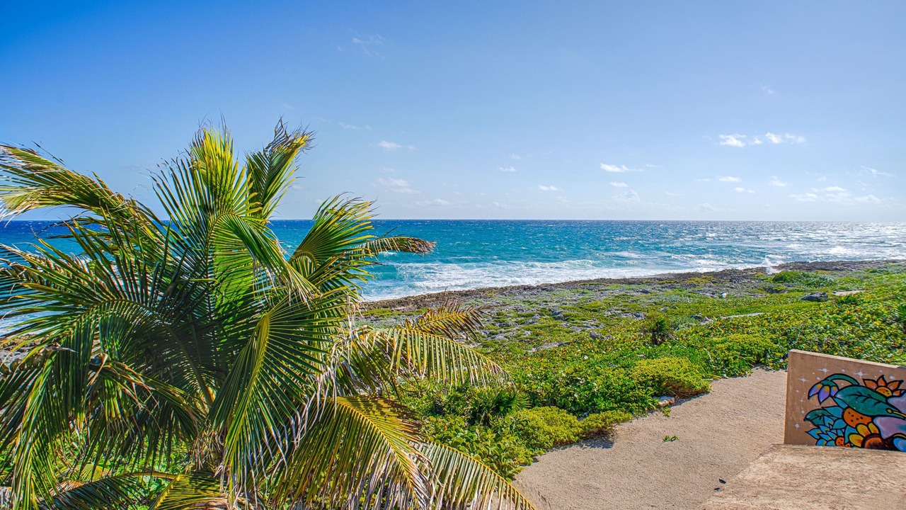 Photo of Others in Akumal