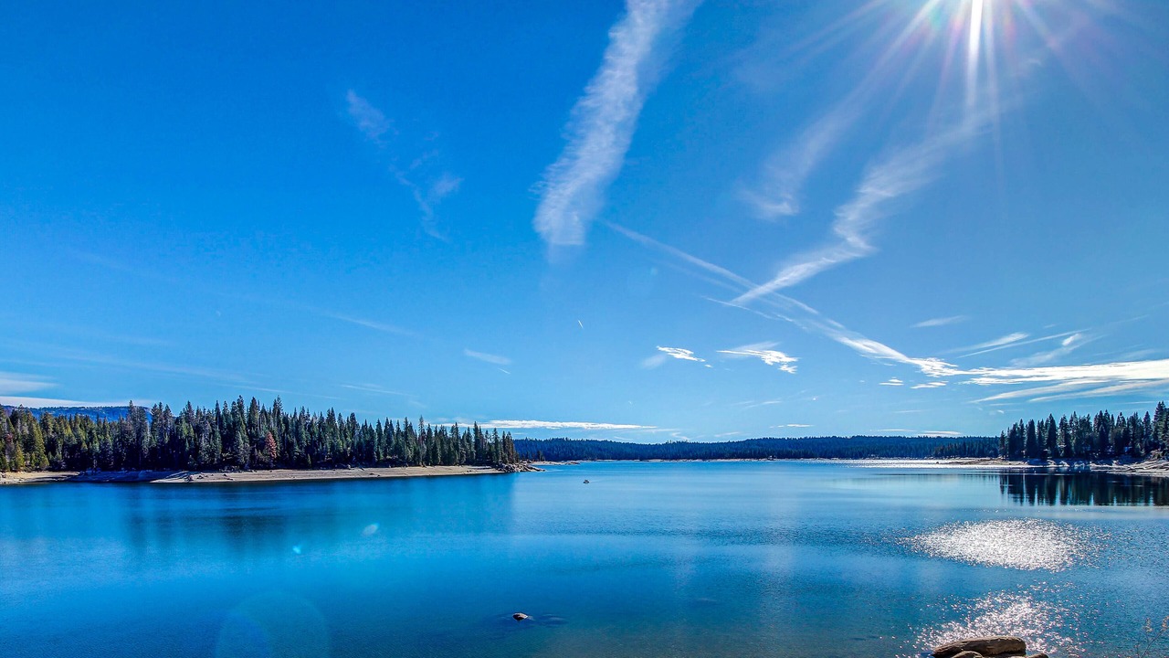 Photo of Others in Shaver Lake