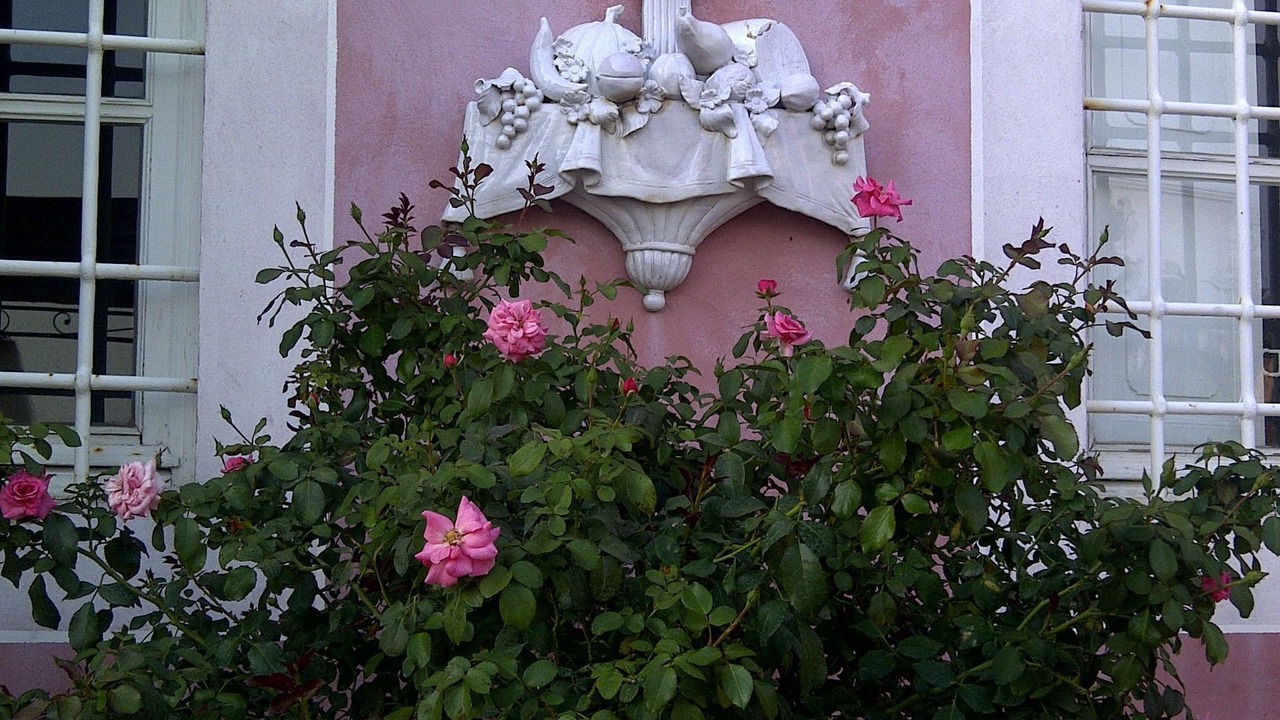 Photo of Others in Massarosa